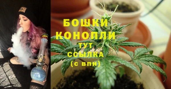 ПСИЛОЦИБИНОВЫЕ ГРИБЫ Киренск