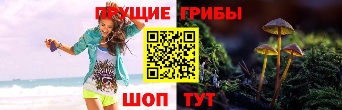 Псилоцибиновые грибы Psilocybe  Вход с VPN  Воронеж 